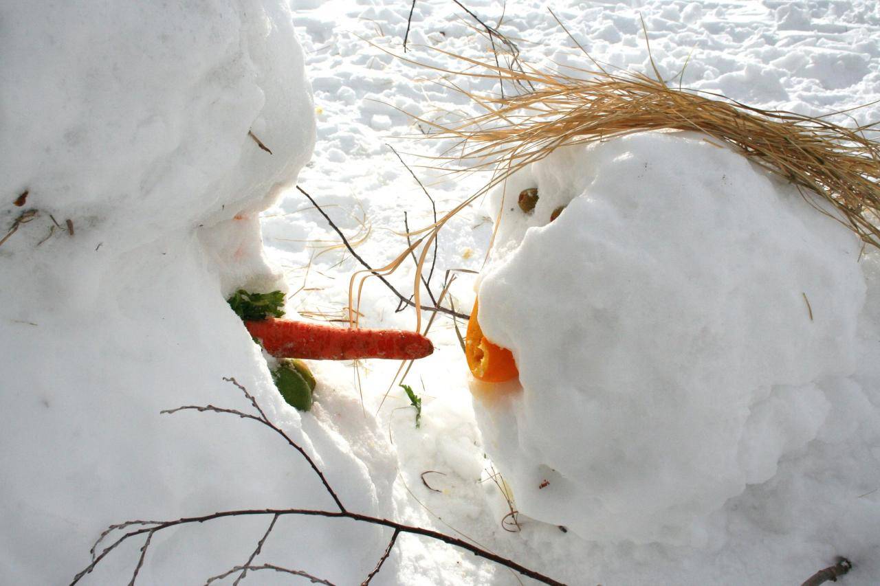 Adult snowman giving head